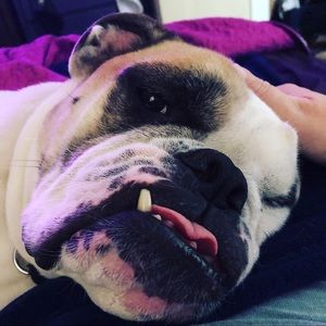 Meet your Posher, Strawberry